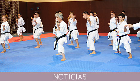 Seminario de Kata del Soke Inoue