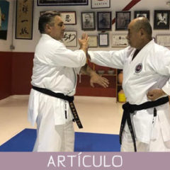 Las acciones de agarrar, jalar y empujar en karate